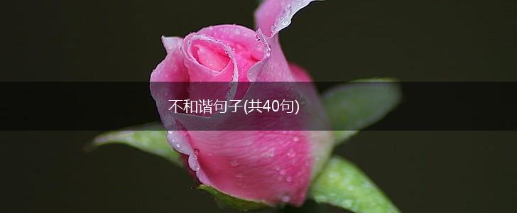 不和谐句子(共40句),第1张