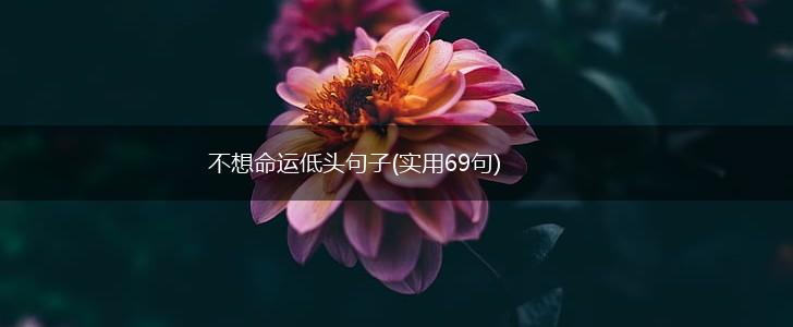 不想命运低头句子(实用69句),第1张 不想命运低头句子(实用69句),第1张