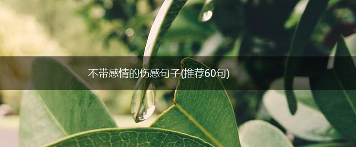 不带感情的伤感句子(推荐60句),第1张