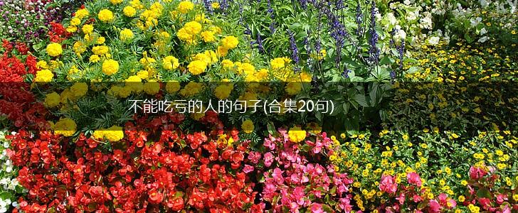 不能吃亏的人的句子(合集20句),第1张