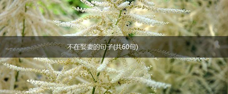 不在娶妻的句子(共60句),第1张
