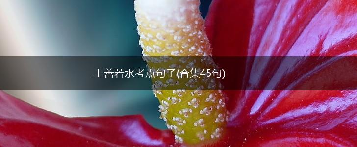 上善若水考点句子(合集45句),第1张
