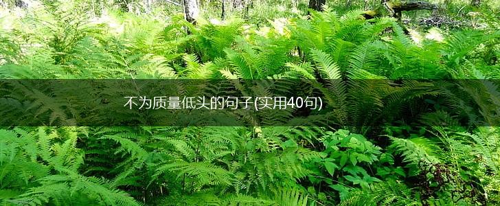 不为质量低头的句子(实用40句),第1张 不为质量低头的句子(实用40句),第1张