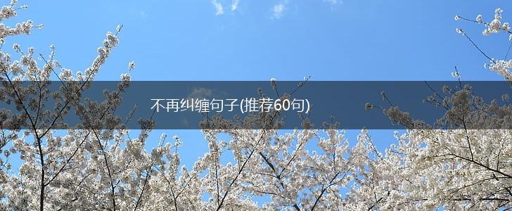 不再纠缠句子(推荐60句),第1张