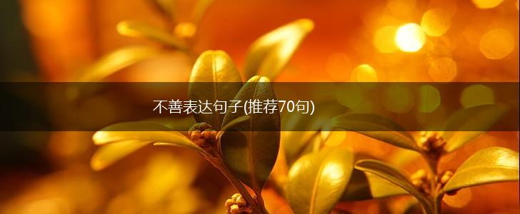不善表达句子(推荐70句),第1张
