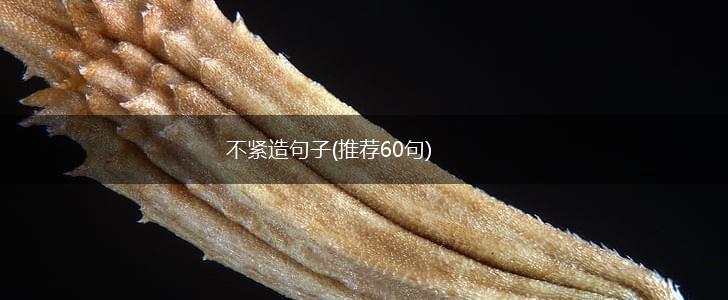 不紧造句子(推荐60句),第1张