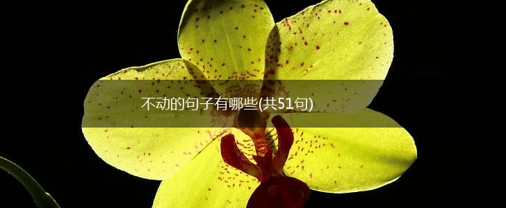 不动的句子有哪些(共51句),第1张