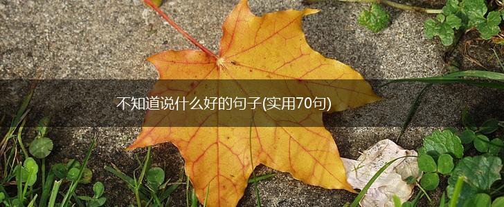 不知道说什么好的句子(实用70句),第1张