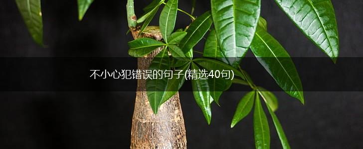 不小心犯错误的句子(精选40句),第1张