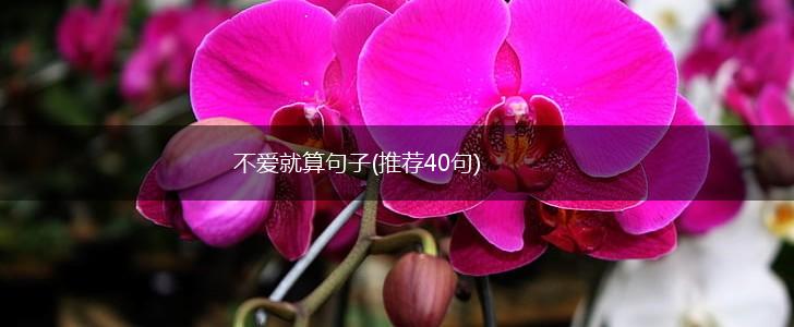 不爱就算句子(推荐40句),第1张