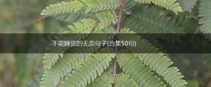 不能睡觉的无奈句子(合集50句),第1张