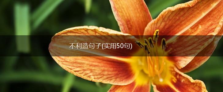 不利造句子(实用50句),第1张
