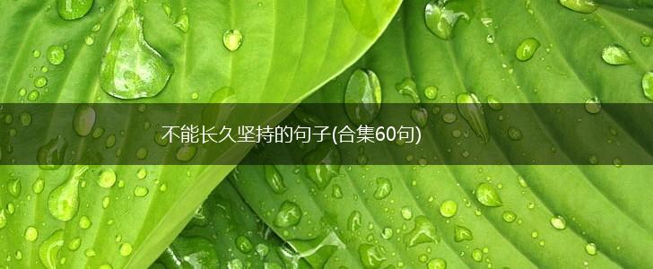 不能长久坚持的句子(合集60句),第1张