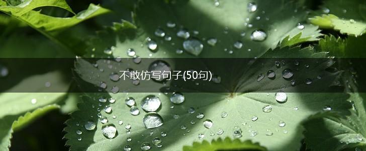 不敢仿写句子(50句),第1张