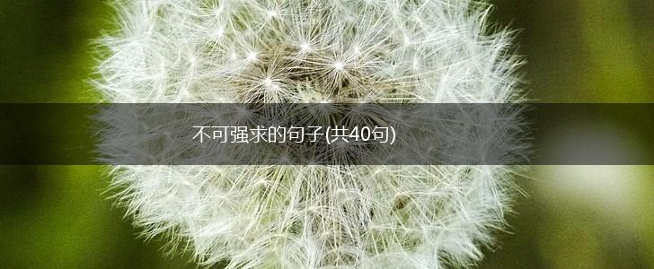 不可强求的句子(共40句),第1张