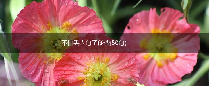 不怕丢人句子(必备50句),第1张