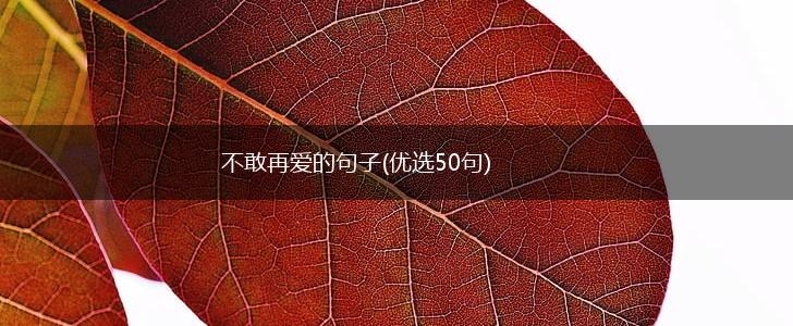 不敢再爱的句子(优选50句),第1张