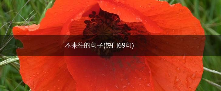 不来往的句子(热门69句),第1张