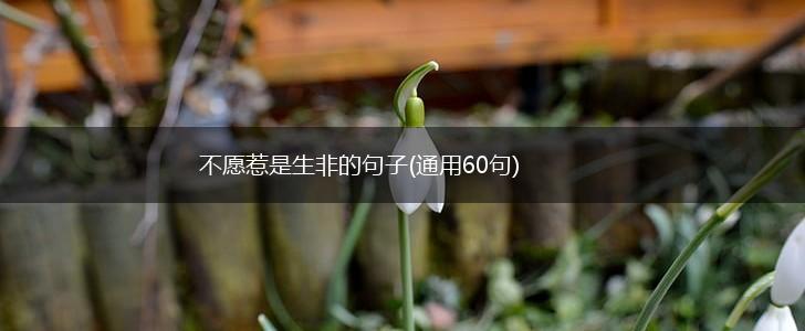 不愿惹是生非的句子(通用60句),第1张