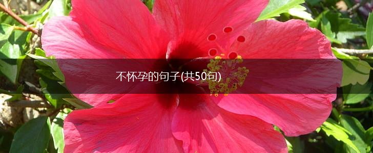 不怀孕的句子(共50句),第1张