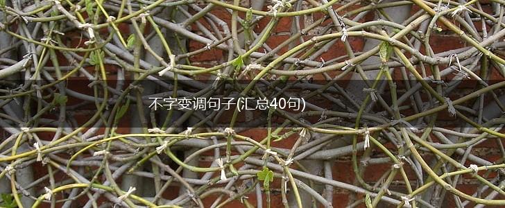 不字变调句子(汇总40句),第1张