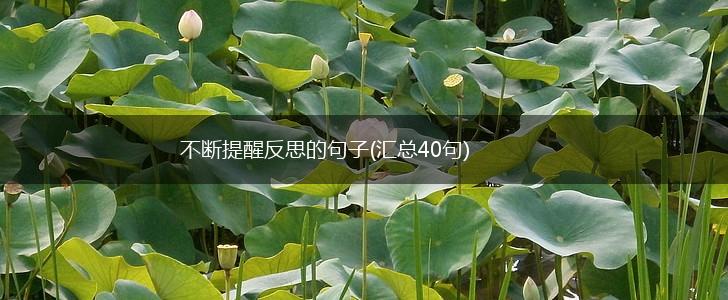 不断提醒反思的句子(汇总40句),第1张