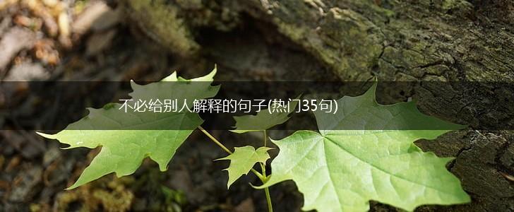 不必给别人解释的句子(热门35句),第1张