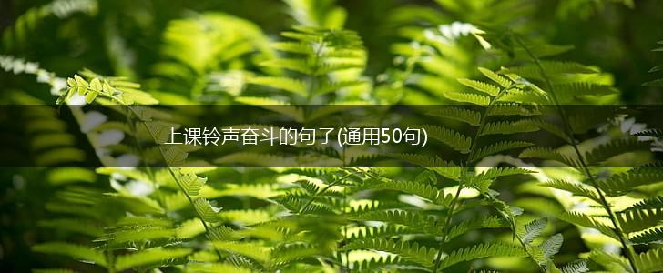 上课铃声奋斗的句子(通用50句),第1张