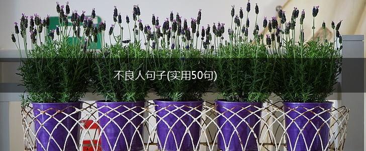 不良人句子(实用50句),第1张