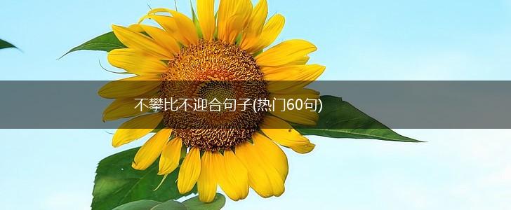 不攀比不迎合句子(热门60句),第1张