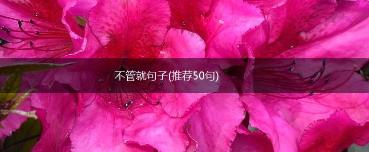 不管就句子(推荐50句),第1张