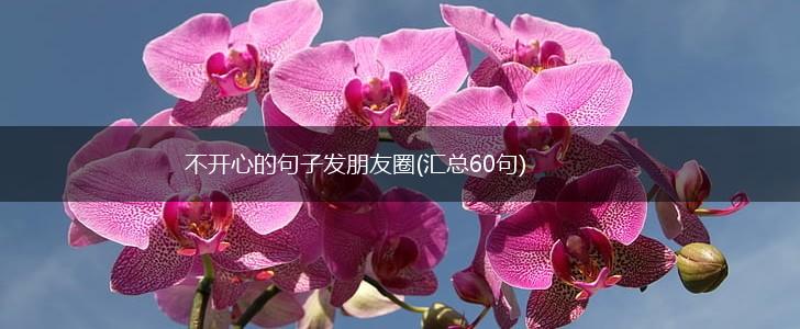 不开心的句子发朋友圈(汇总60句),第1张