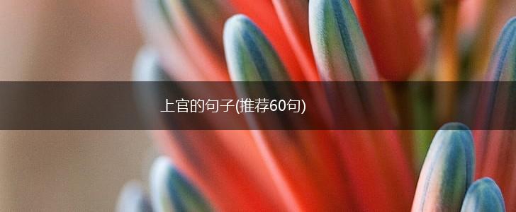 上官的句子(推荐60句),第1张