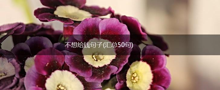 不想给钱句子(汇总50句),第1张 不想给钱句子(汇总50句),第1张