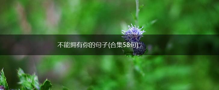 不能拥有你的句子(合集58句),第1张