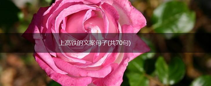 上高铁的文案句子(共70句),第1张