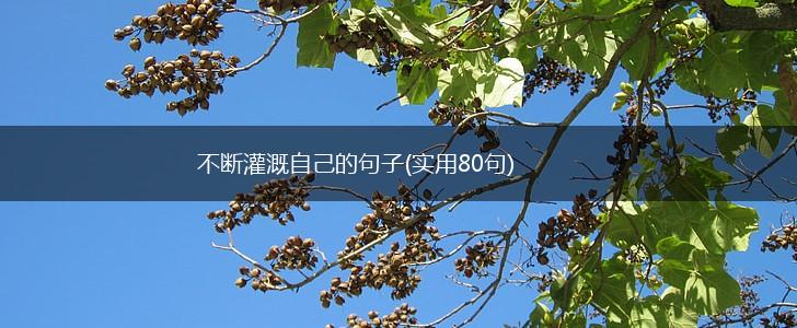 不断灌溉自己的句子(实用80句),第1张