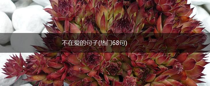 不在爱的句子(热门68句),第1张