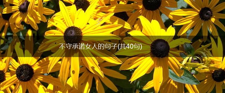 不守承诺女人的句子(共40句),第1张