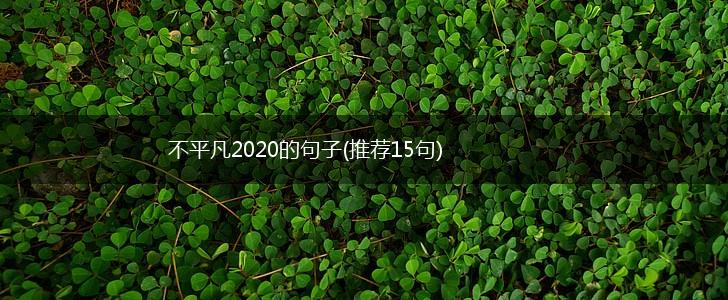 不平凡2020的句子(推荐15句),第1张