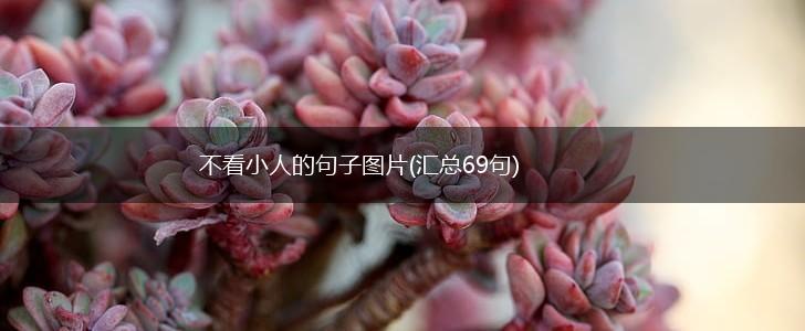不看小人的句子图片(汇总69句),第1张