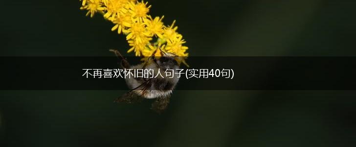 不再喜欢怀旧的人句子(实用40句),第1张
