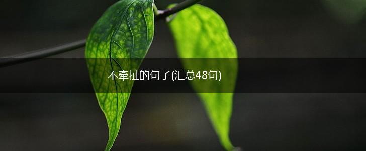 不牵扯的句子(汇总48句),第1张
