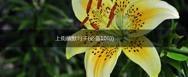 上街幽默句子(必备10句),第1张