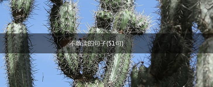 不敢读的句子(51句),第1张