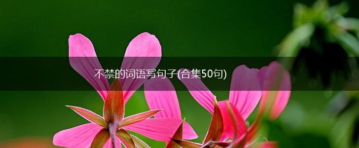 不禁的词语写句子(合集50句),第1张
