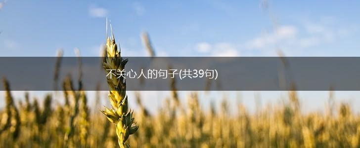 不关心人的句子(共39句),第1张