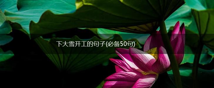下大雪开工的句子(必备50句),第1张