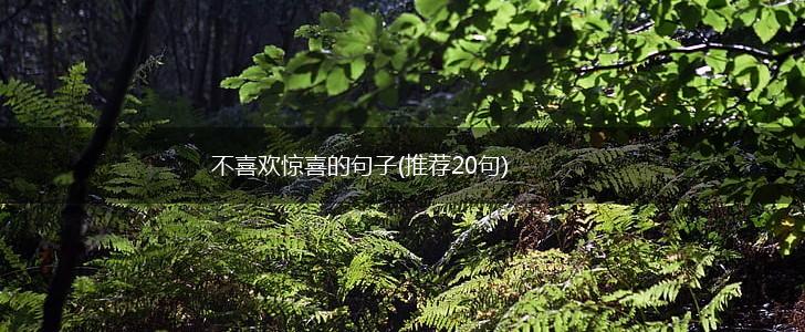不喜欢惊喜的句子(推荐20句),第1张