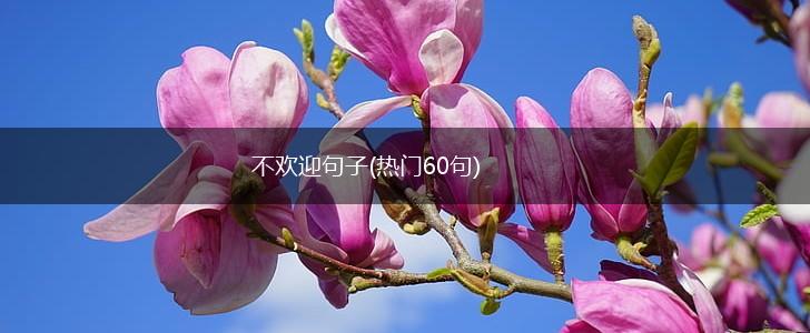 不欢迎句子(热门60句),第1张